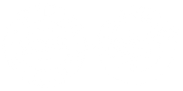 Bravus Brewing Chile